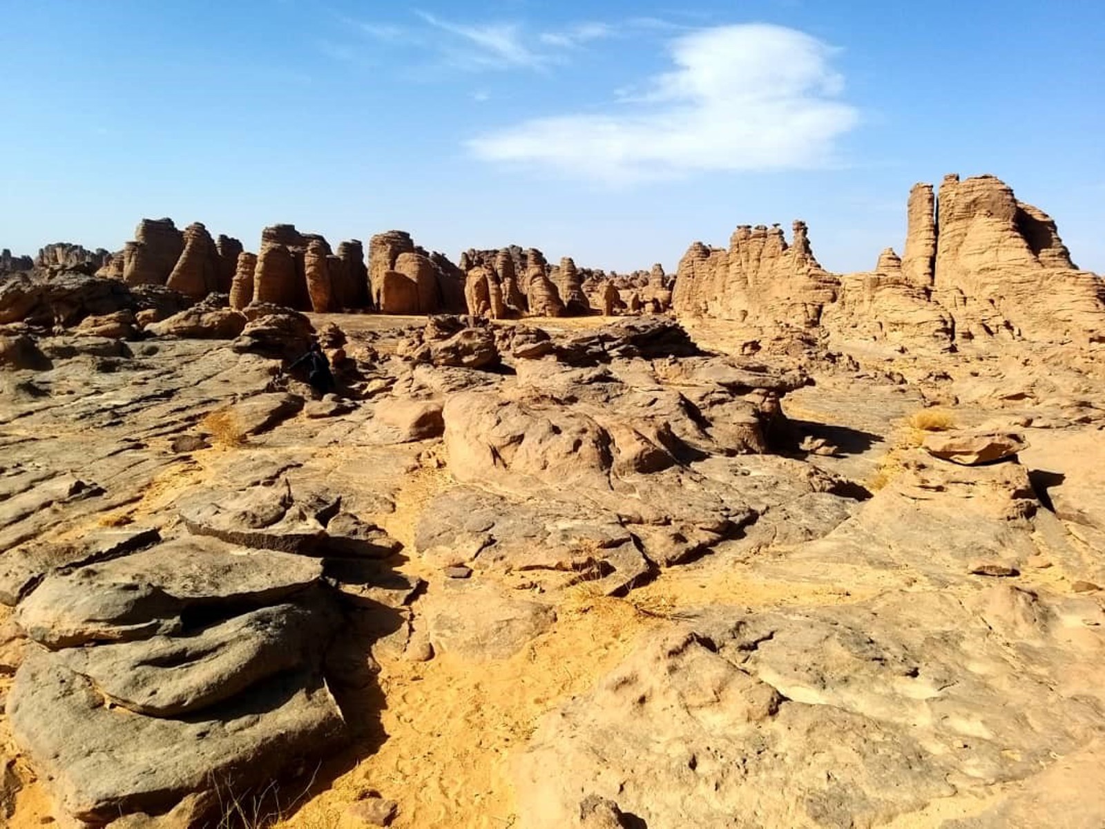 TAMANRASSET Week-end